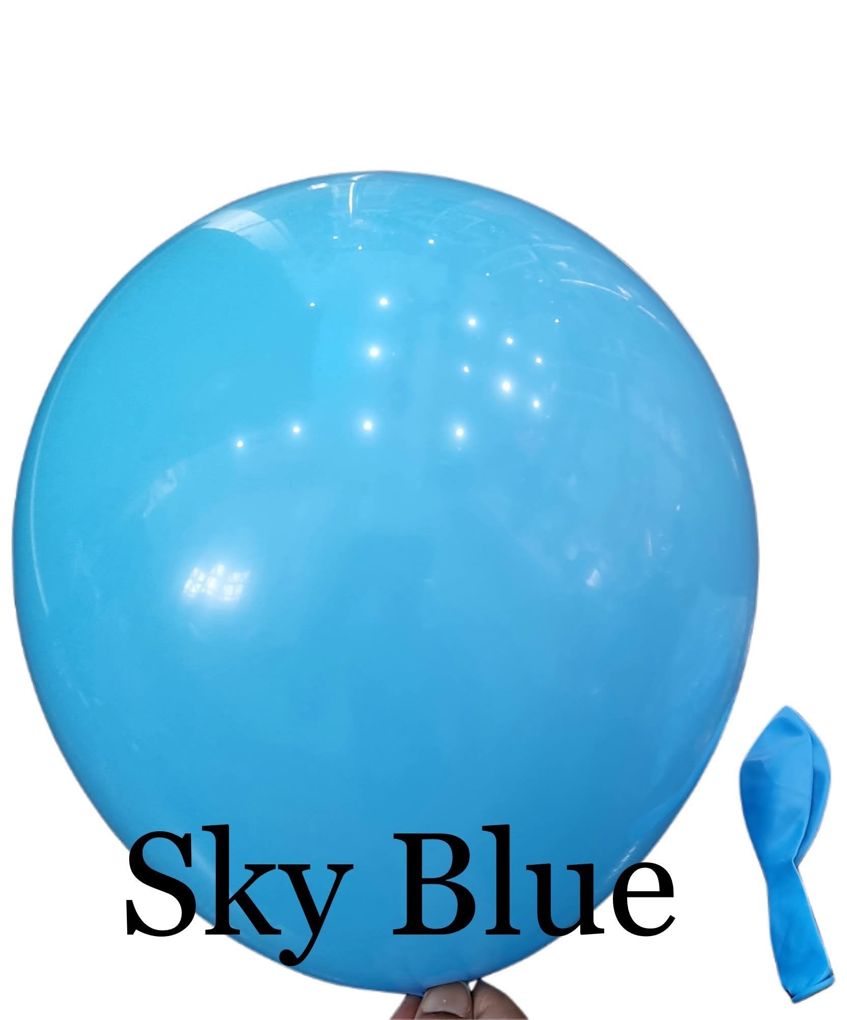 Plain 12 Inch Latex Balloon - Image 29